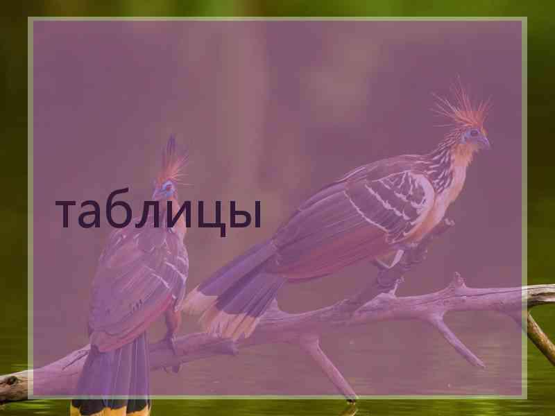 таблицы