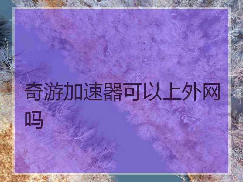 奇游加速器可以上外网吗