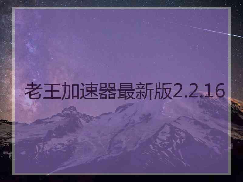 老王加速器最新版2.2.16