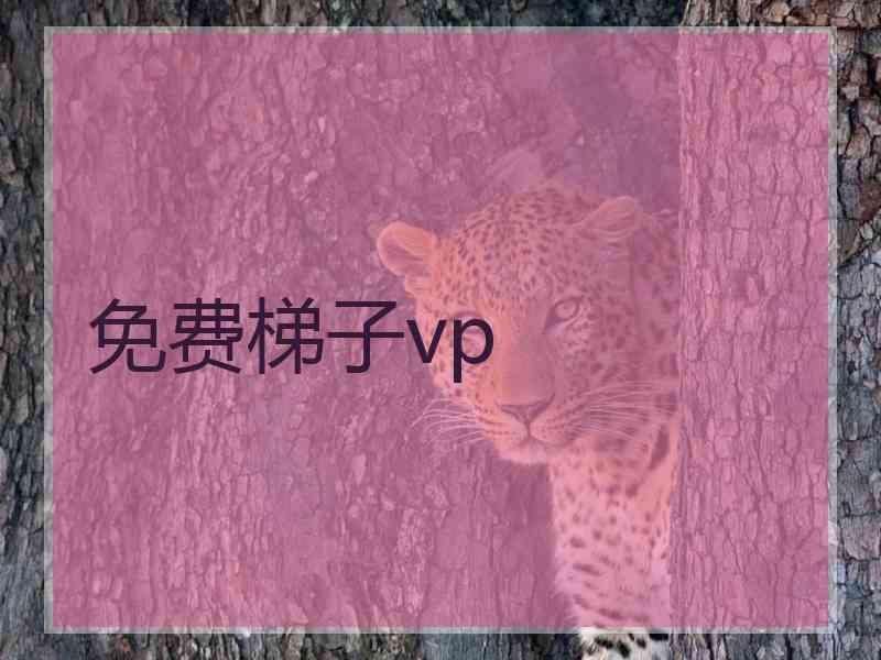 免费梯子vp