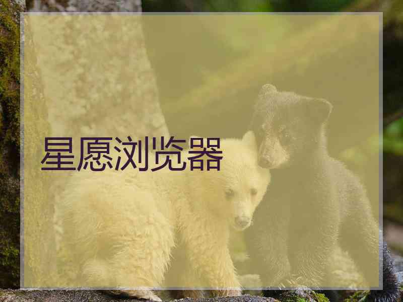星愿浏览器