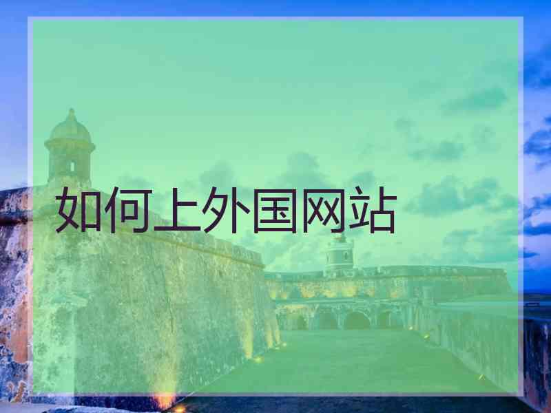 如何上外国网站