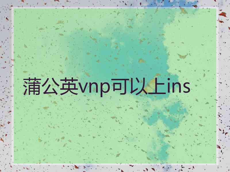 蒲公英vnp可以上ins