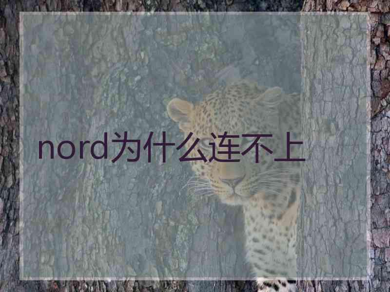 nord为什么连不上