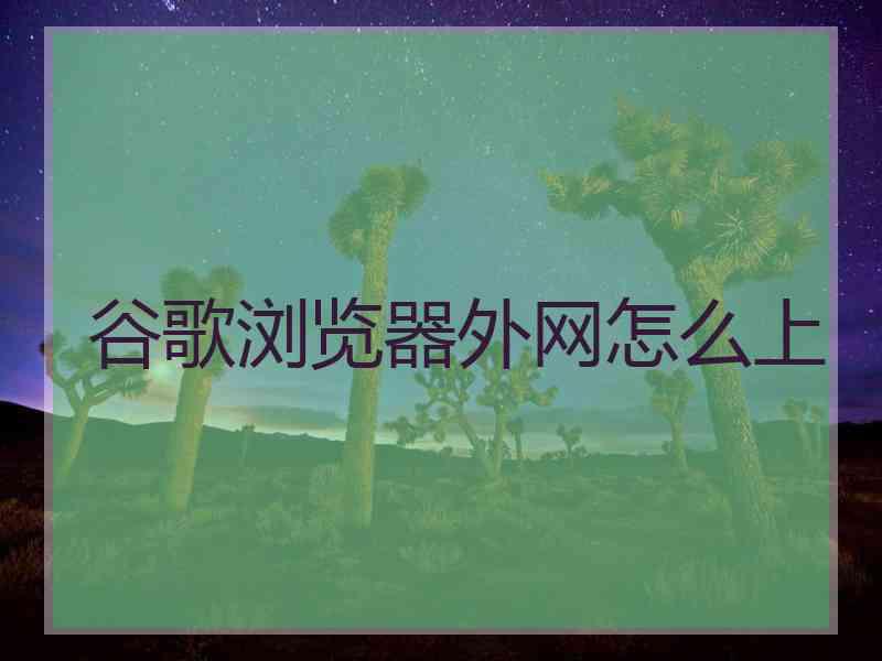 谷歌浏览器外网怎么上