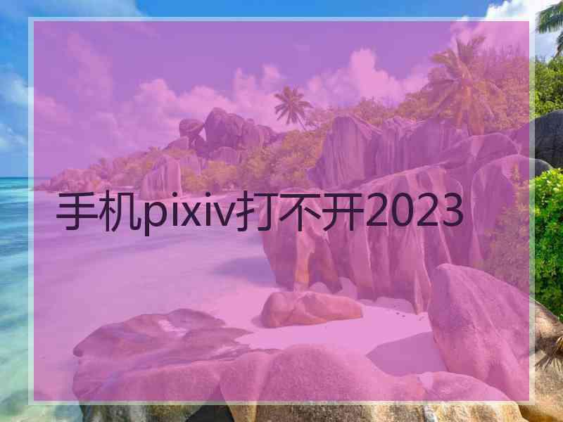 手机pixiv打不开2023