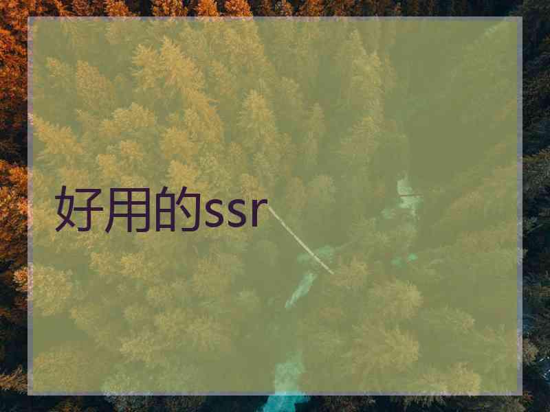 好用的ssr