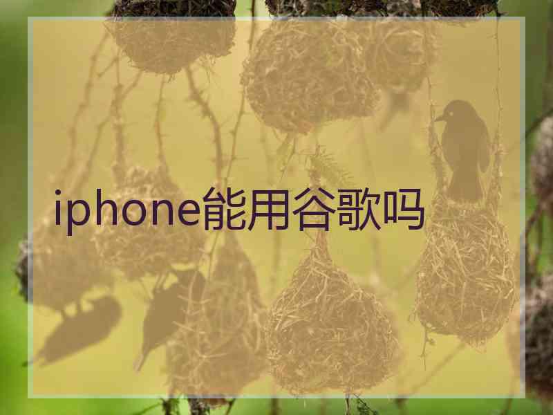 iphone能用谷歌吗