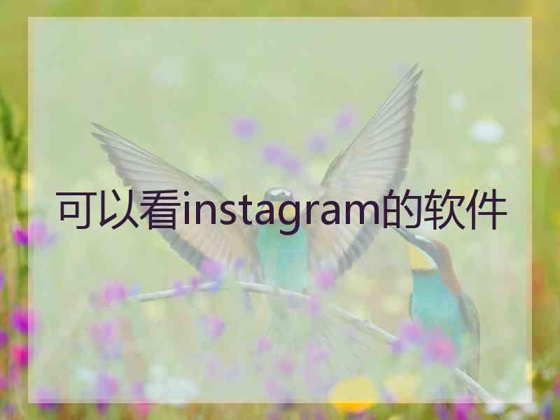 可以看instagram的软件