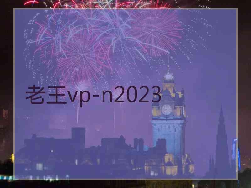 老王vp-n2023