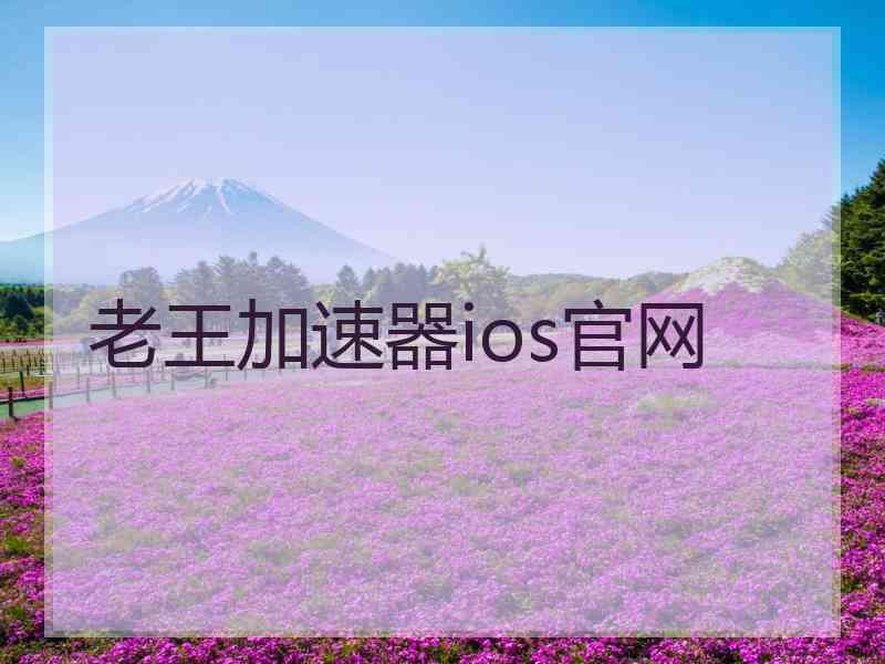 老王加速器ios官网