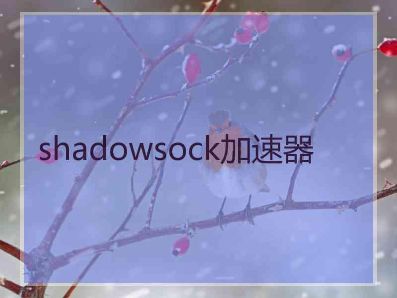 shadowsock加速器