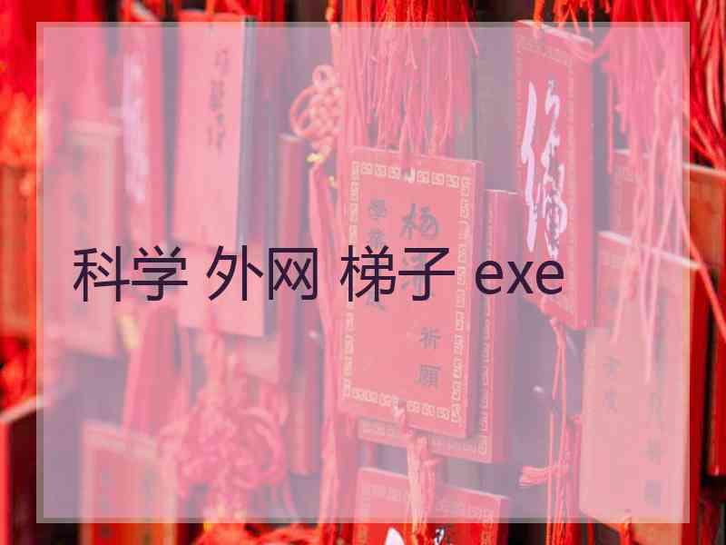 科学 外网 梯子 exe