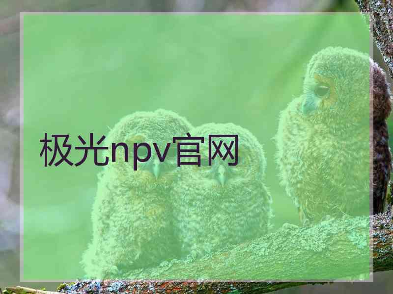 极光npv官网