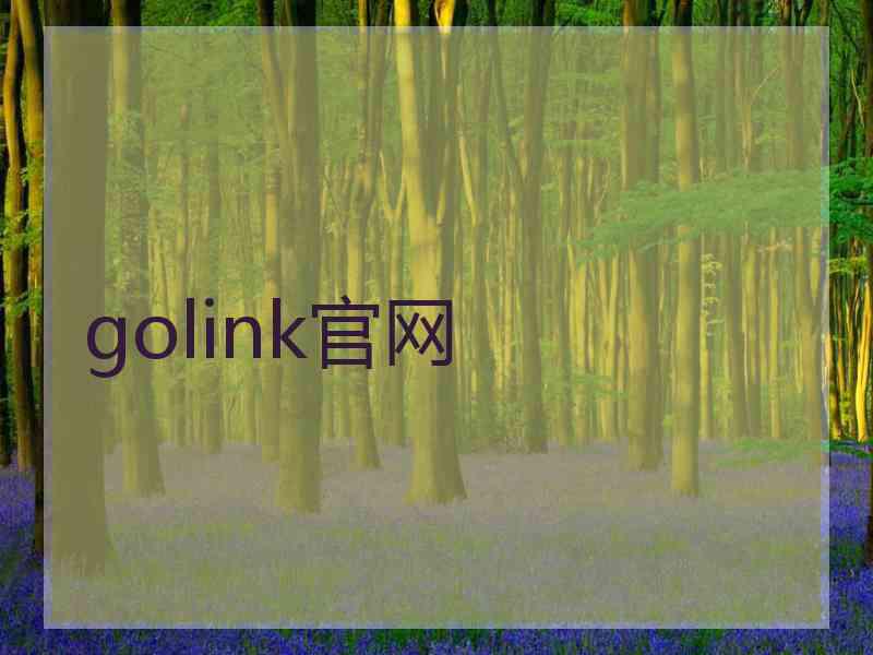 golink官网