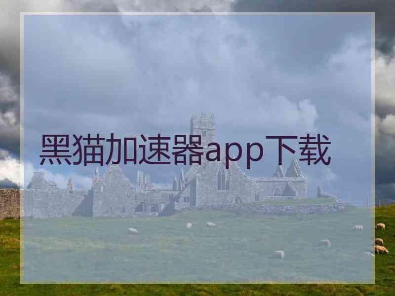 黑猫加速器app下载