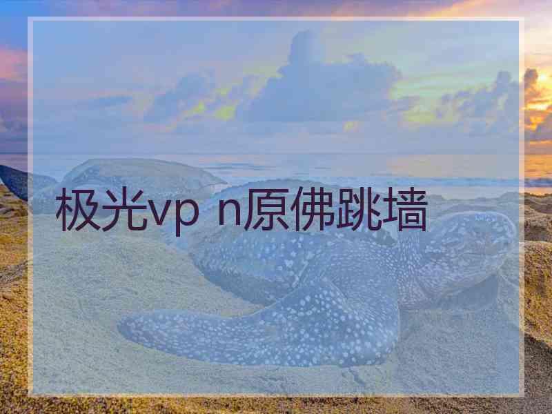 极光vp n原佛跳墙