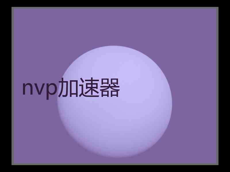 nvp加速器