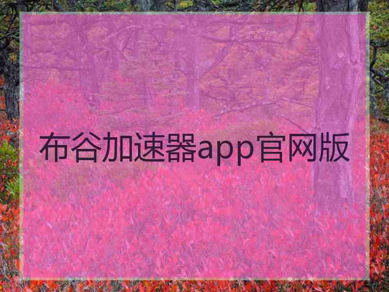 布谷加速器app官网版