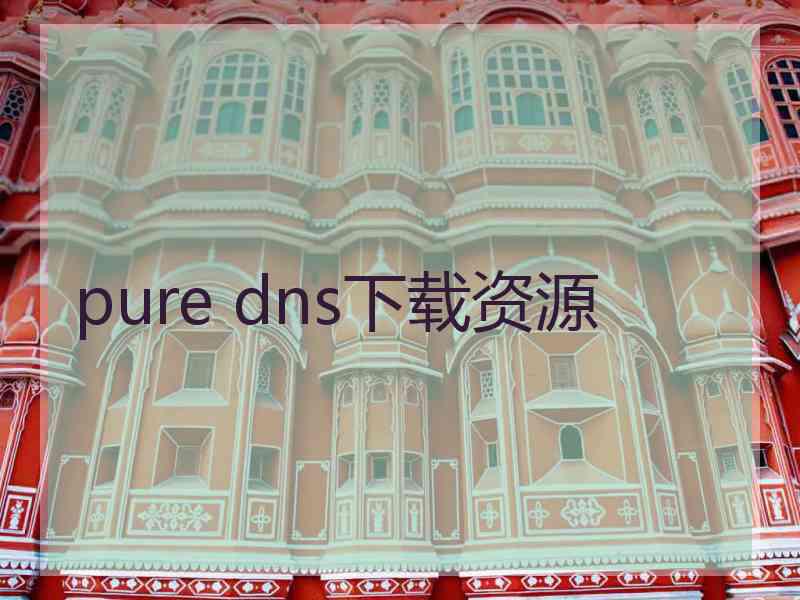 pure dns下载资源