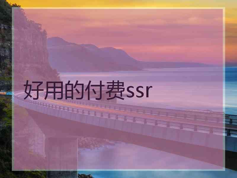 好用的付费ssr