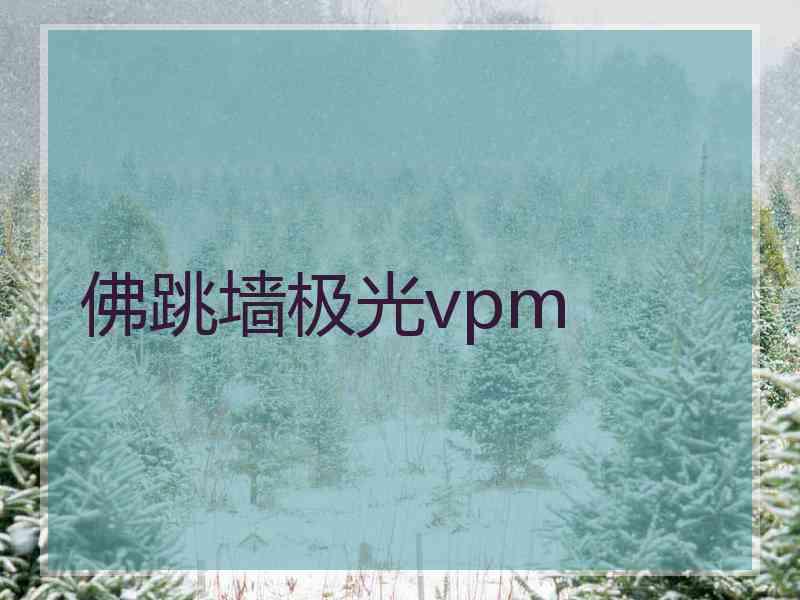 佛跳墙极光vpm