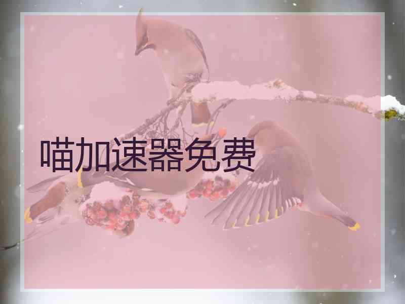 喵加速器免费