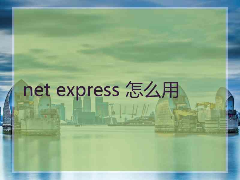 net express 怎么用