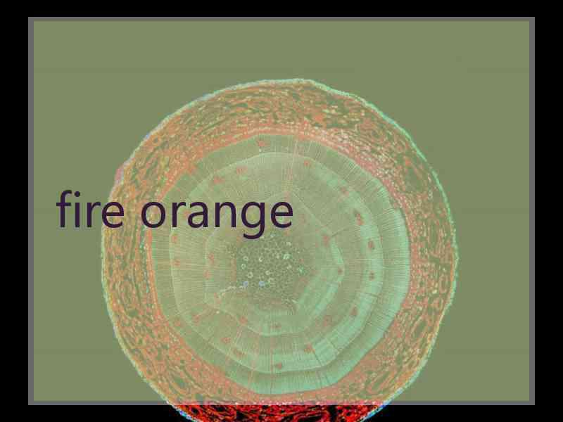 fire orange