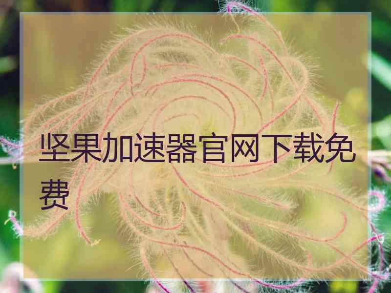 坚果加速器官网下载免费