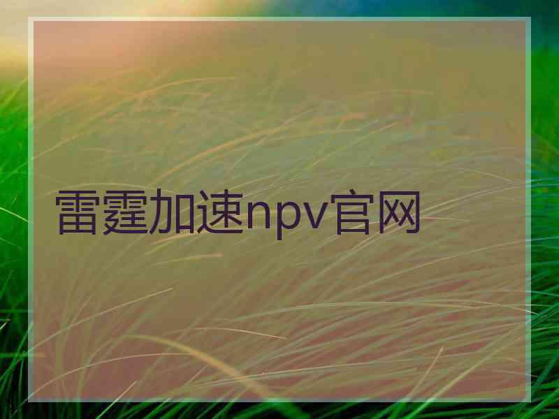 雷霆加速npv官网