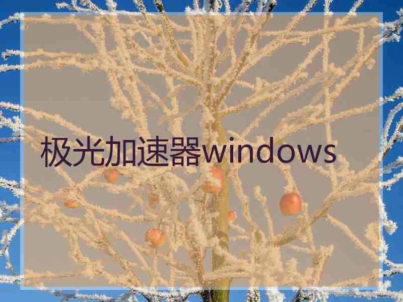 极光加速器windows