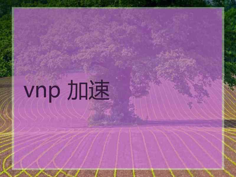 vnp 加速