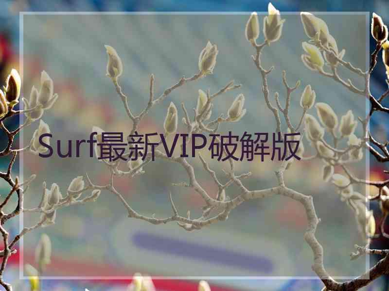 Surf最新VIP破解版