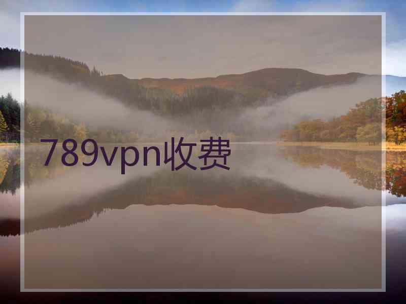 789vpn收费