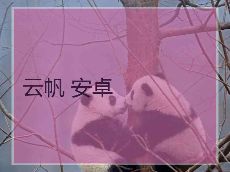 云帆 安卓
