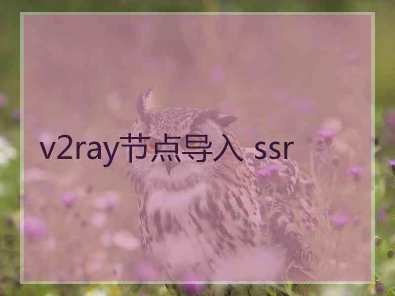 v2ray节点导入 ssr