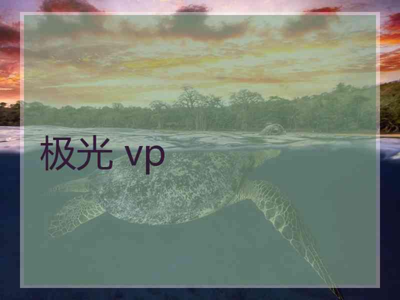 极光 vp