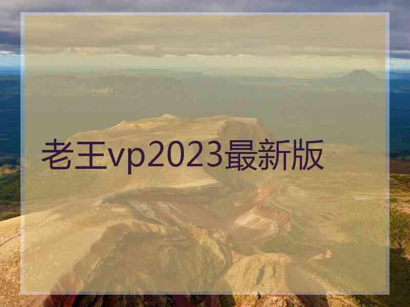 老王vp2023最新版