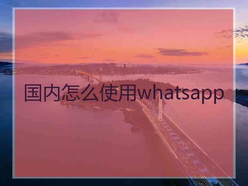 国内怎么使用whatsapp