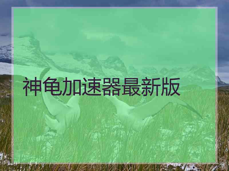 神龟加速器最新版