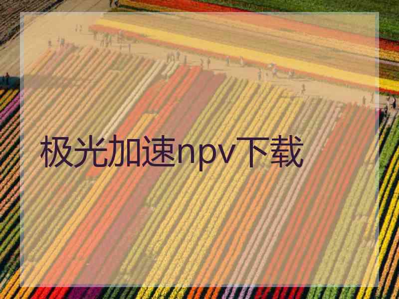 极光加速npv下载