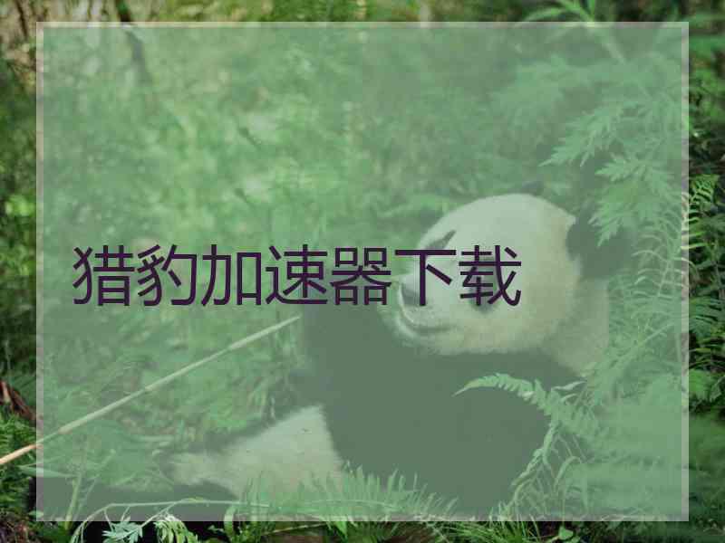 猎豹加速器下载