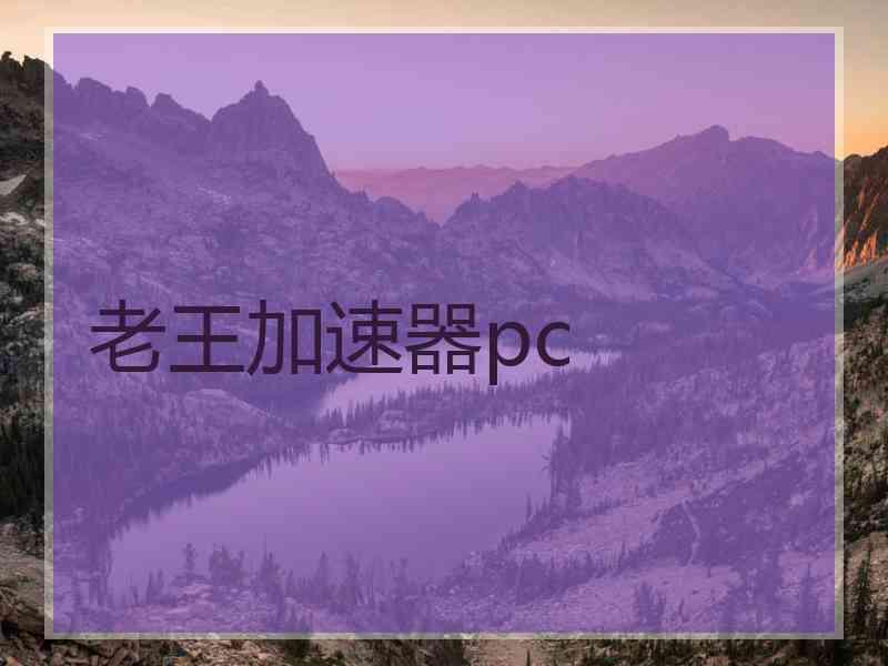 老王加速器pc