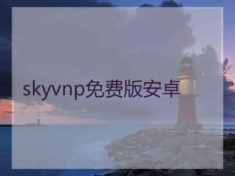 skyvnp免费版安卓