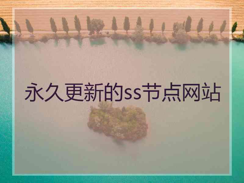 永久更新的ss节点网站