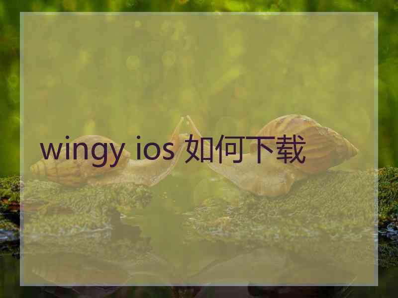 wingy ios 如何下载