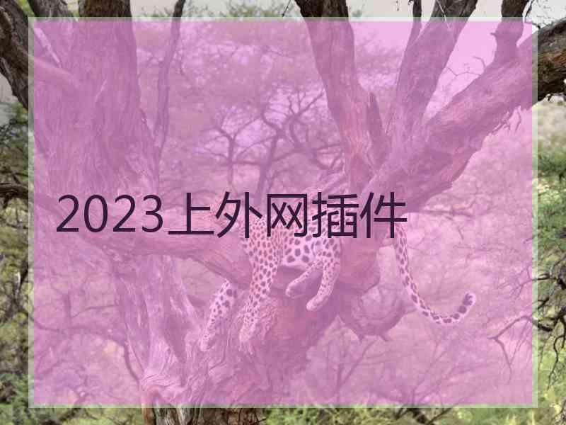 2023上外网插件