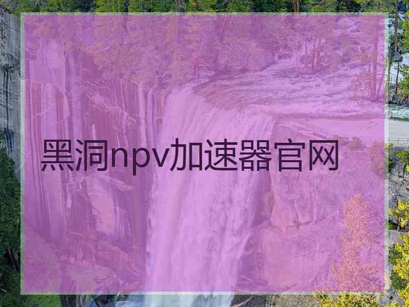 黑洞npv加速器官网