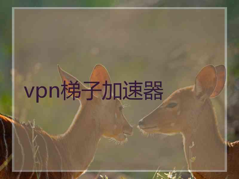 vpn梯子加速器